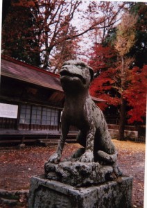 埼玉県吉田町の椋神社の狛犬はオオカミのようだ